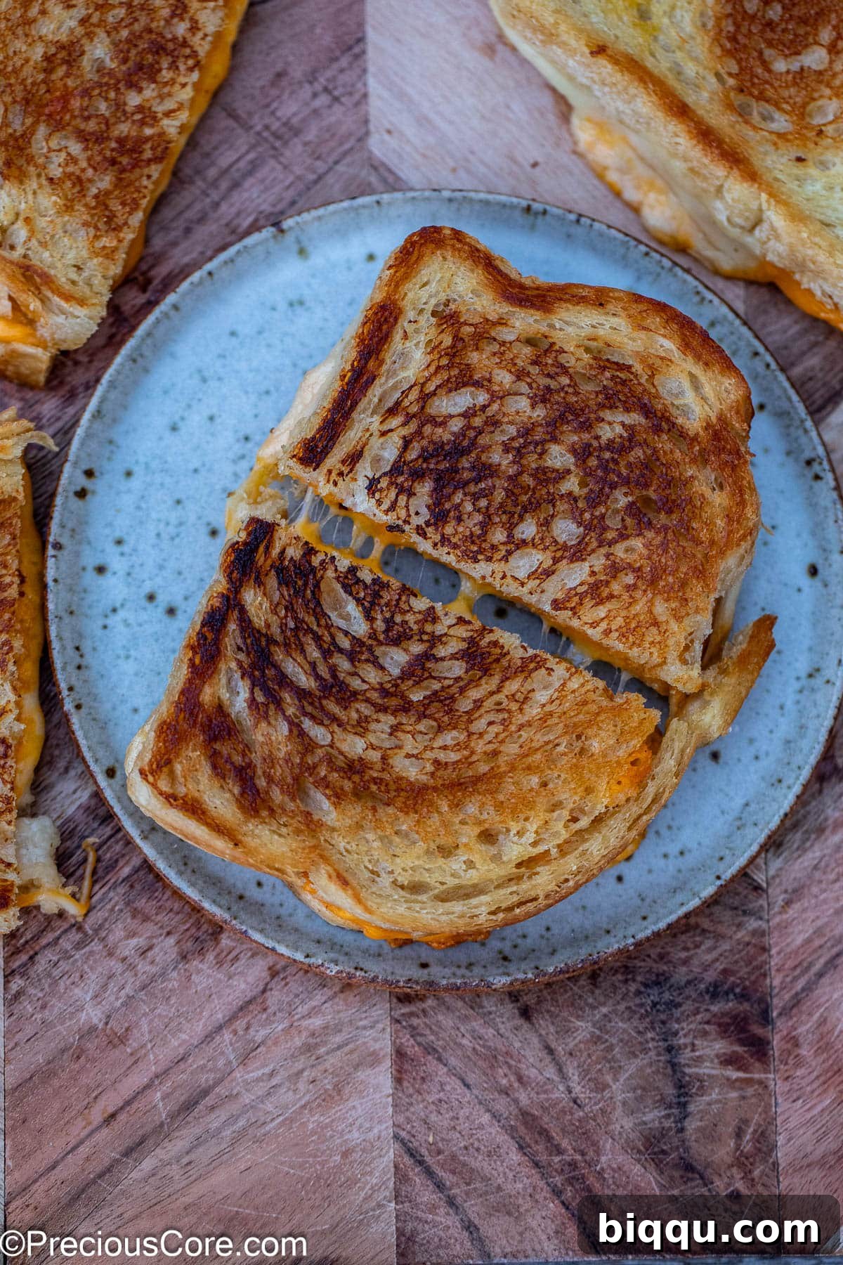 Grilled cheese cut in half on a plate.
