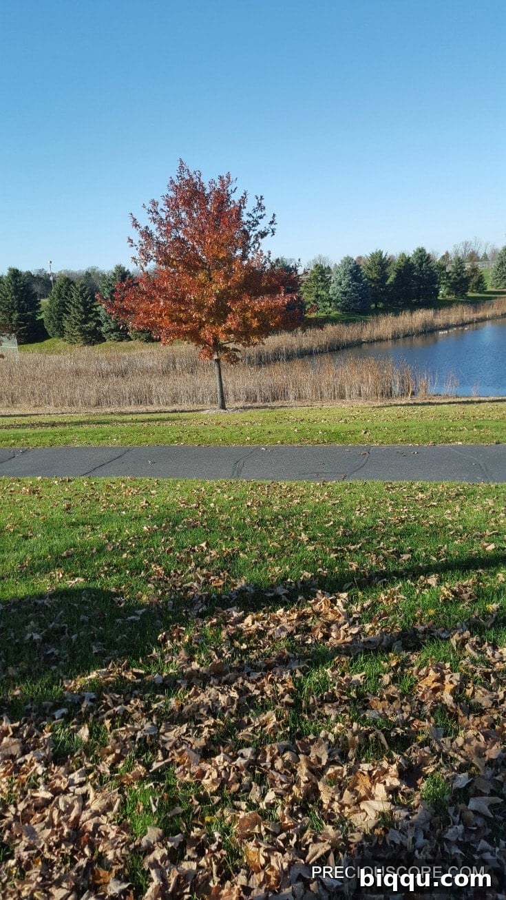 Beautiful fall foliage in Minnesota