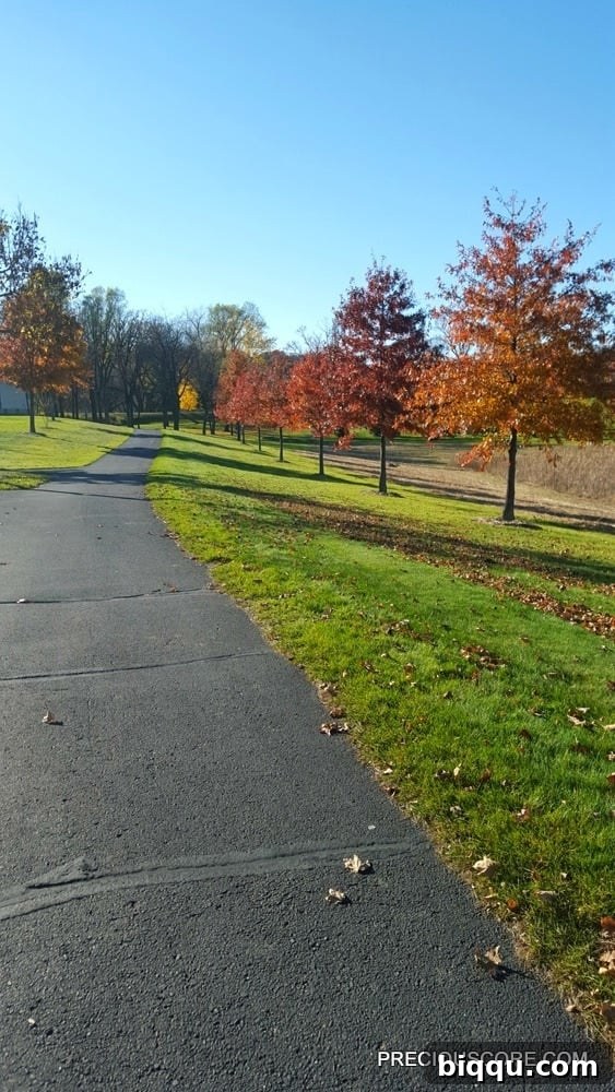 Autumn trees by the lake in Minnesota