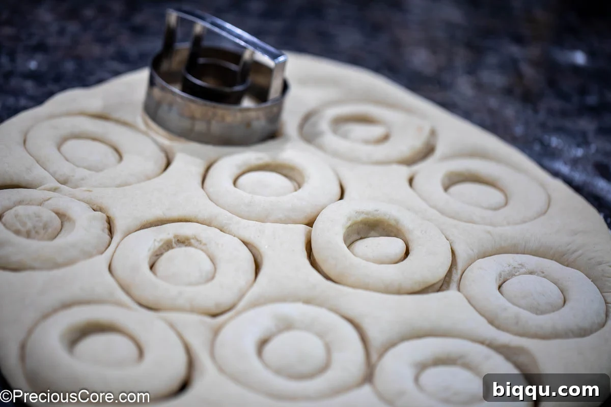 Rolled dough with circles cut out of it.