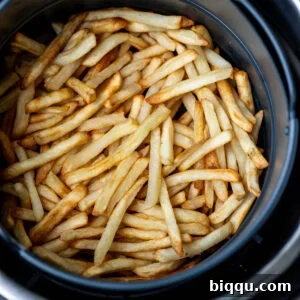 Crispy air-fried fries in a round air fryer basket.