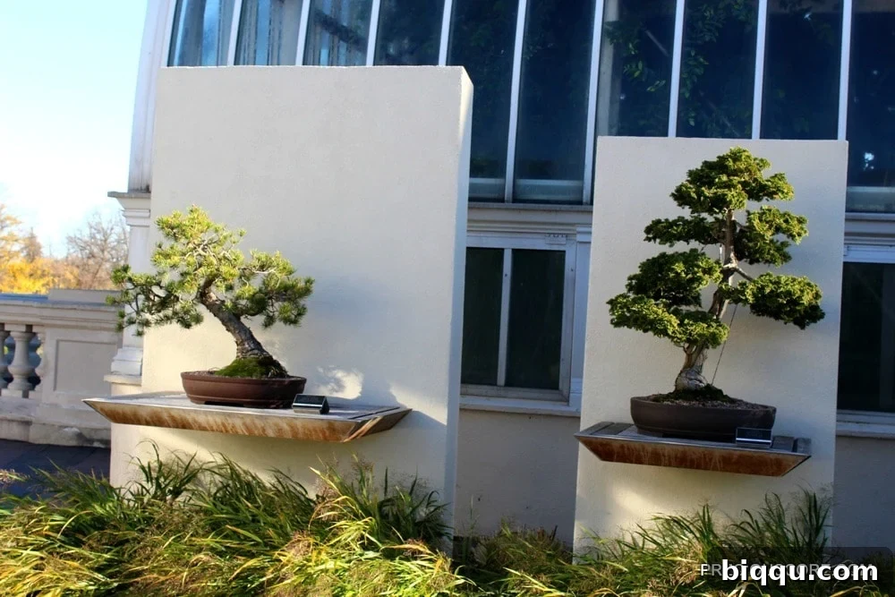 Intricately sculpted bonsai plants at Como Conservatory, showcasing centuries of artistic cultivation