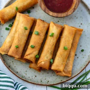 Savory Beef Spring Rolls 14 Plated crispy spring rolls, beautifully golden.