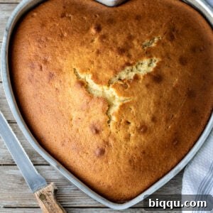 Baked plain cake with a knife for serving.