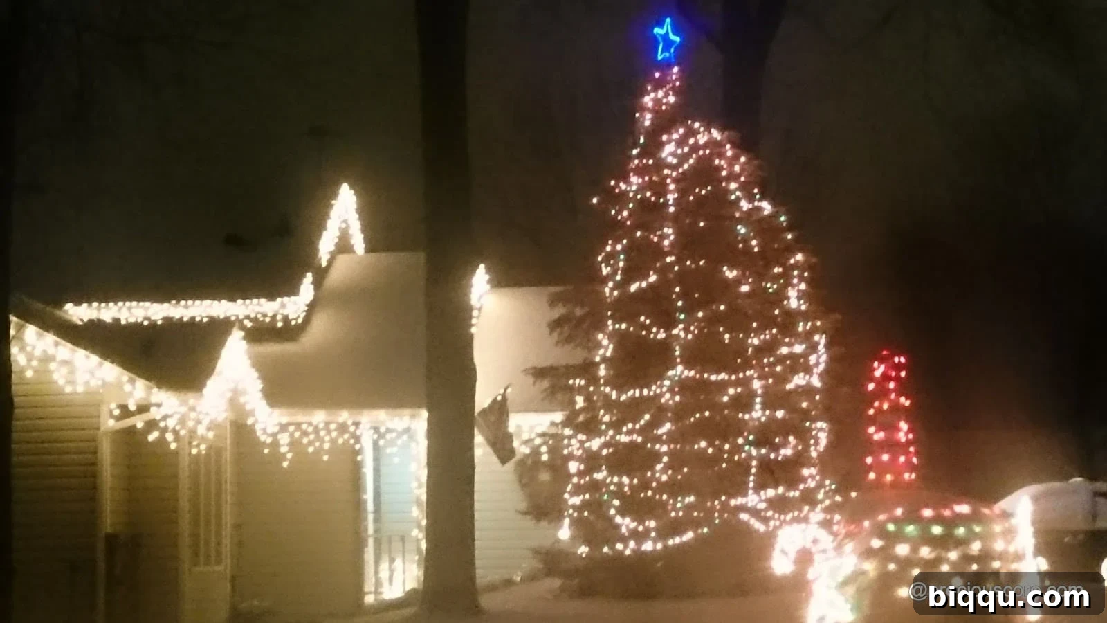 Vibrant outdoor Christmas tree decorated with colorful lights