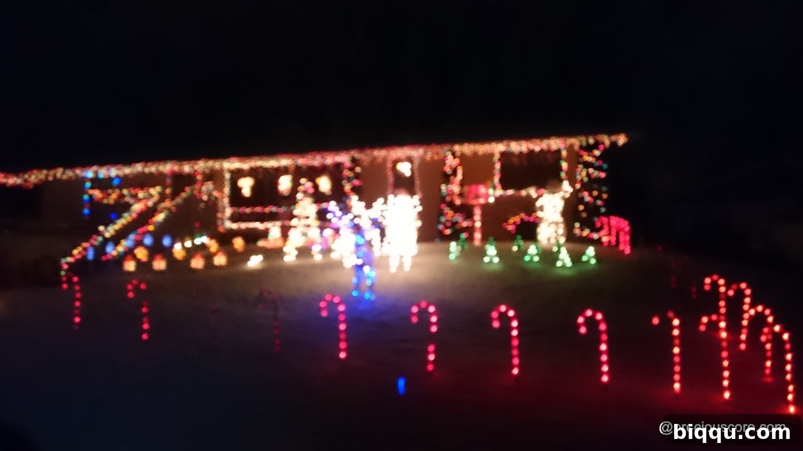 Close-up of sparkling Christmas lights illuminating a bush