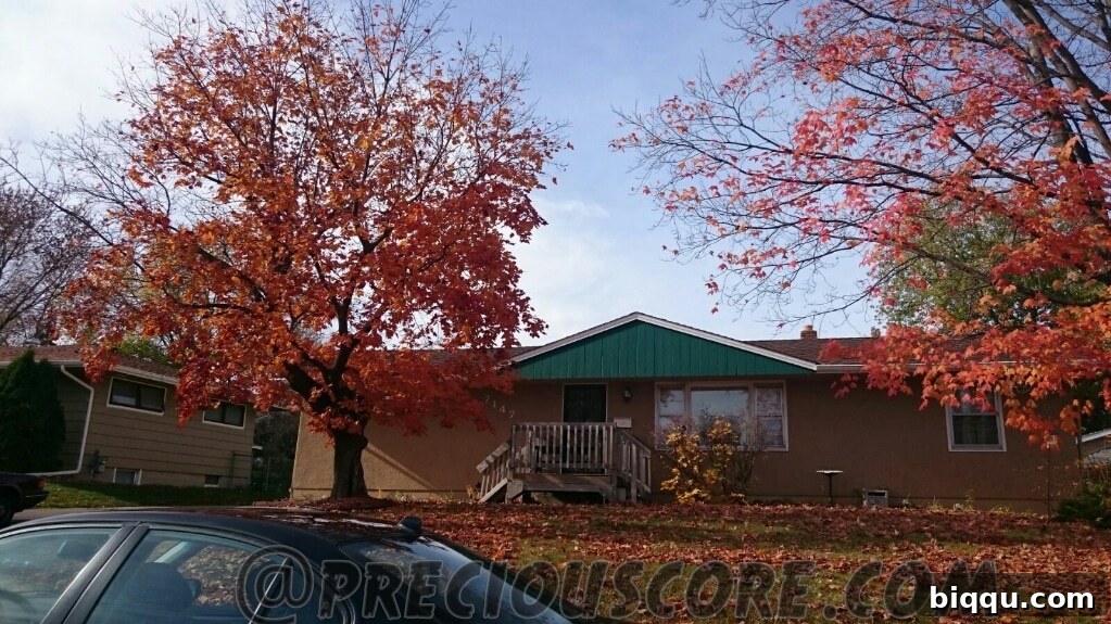 A vibrant autumn landscape showcasing the beauty of fall.
