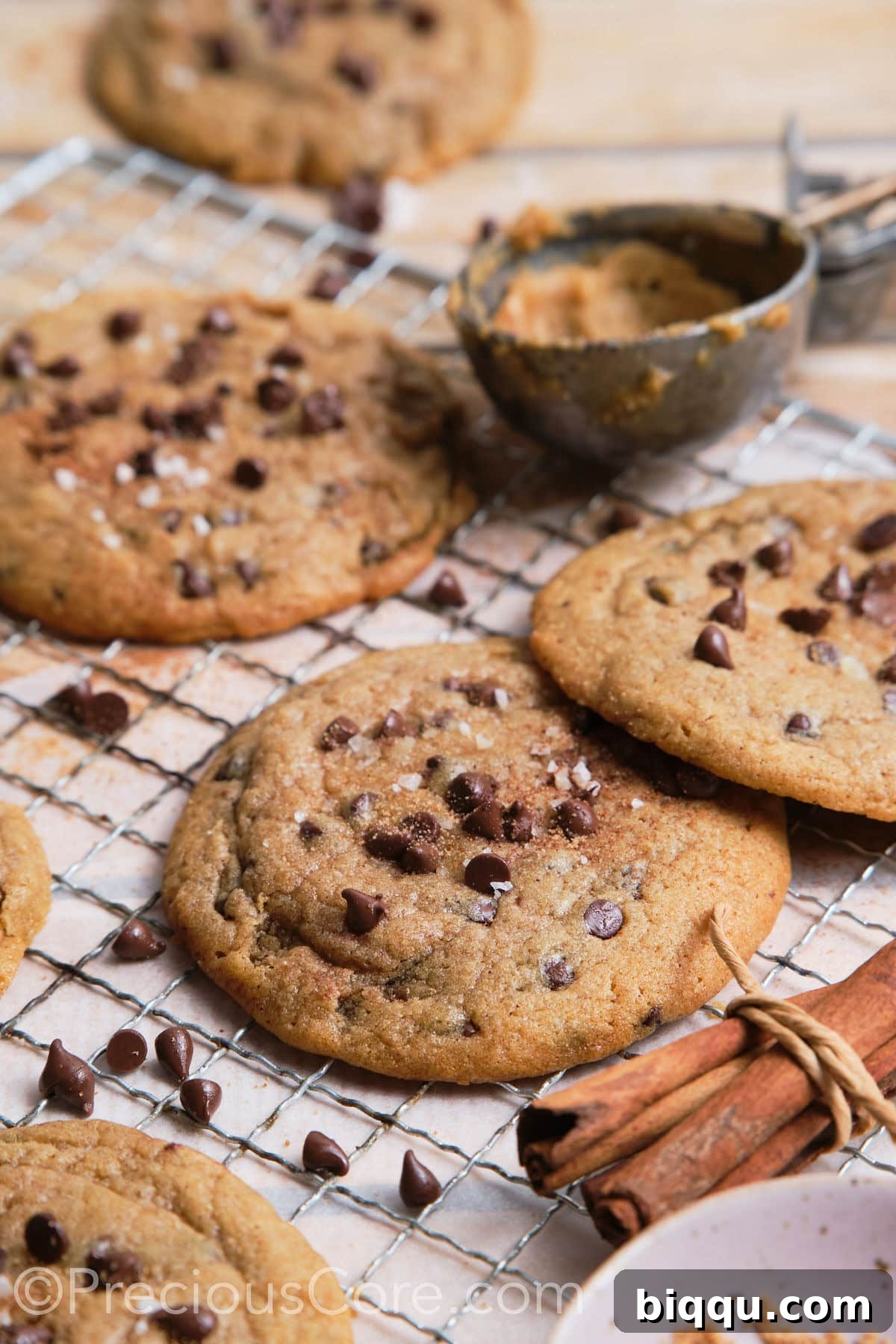 Freshly baked large cinnamon chocolate chip cookies cooling on an oven rack, showing their golden brown edges and melty chocolate chips, ready to be enjoyed.