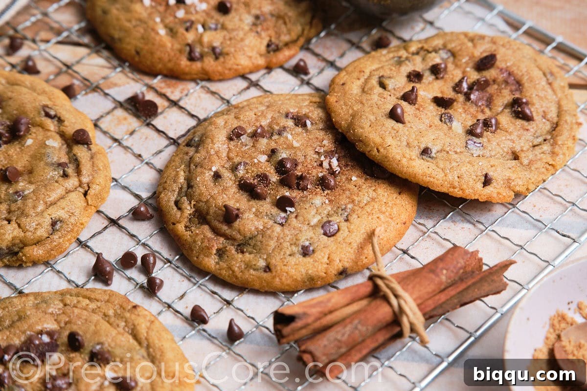 A striking landscape image featuring large, perfectly baked cookies generously topped with an abundance of melted dark chocolate chips, highlighting their appealing texture and rich flavor.