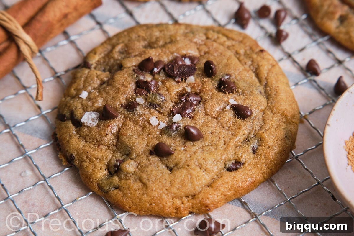 Close-up view of a large, perfectly baked cinnamon chocolate chip cookie, garnished with extra chocolate chips and a delicate sprinkle of flaky sea salt, highlighting its rich texture.