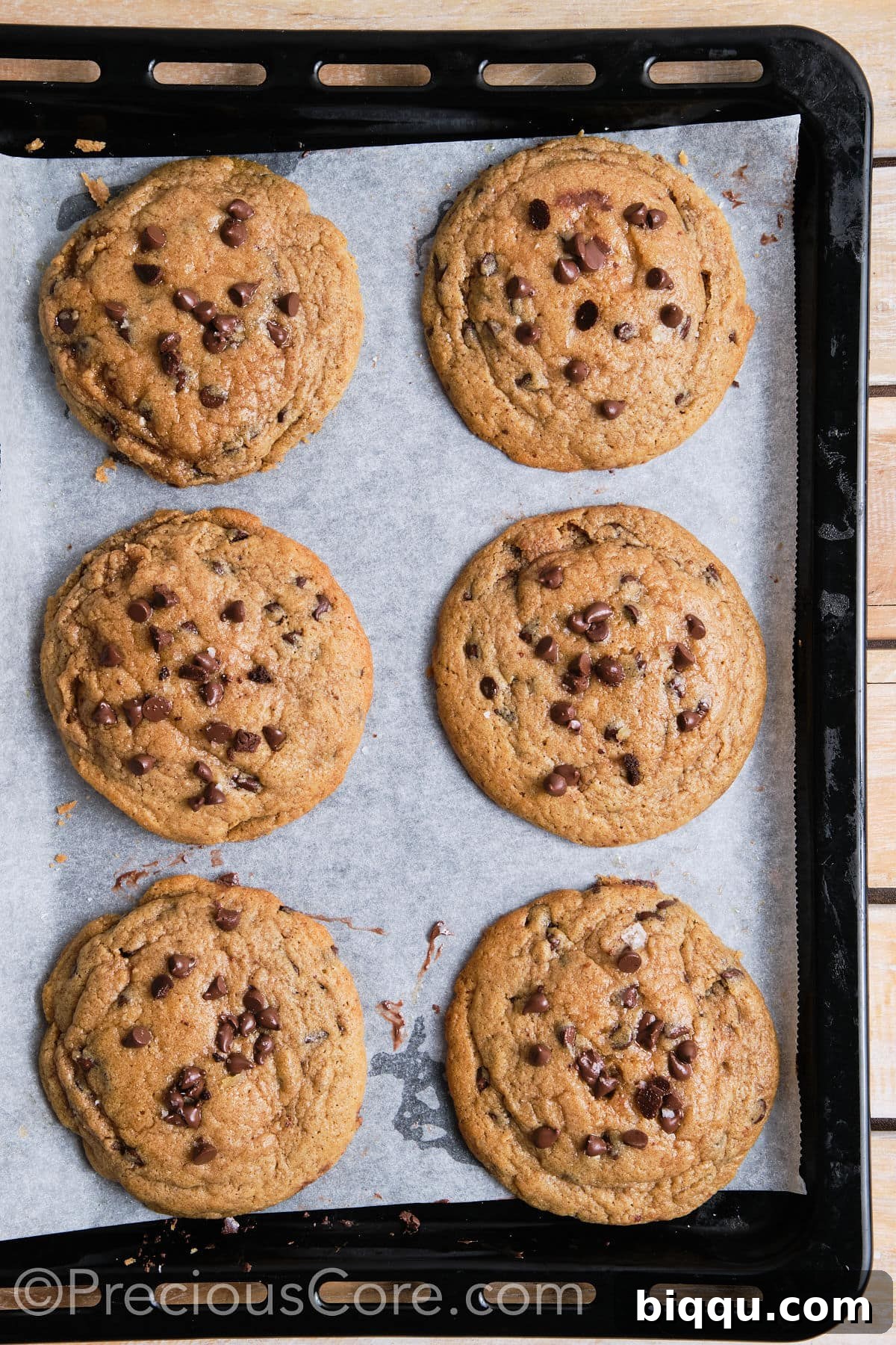 Six golden brown cinnamon chocolate chip cookies arranged neatly on a baking sheet, showcasing their perfect shape and appealing texture with visible chocolate chips.
