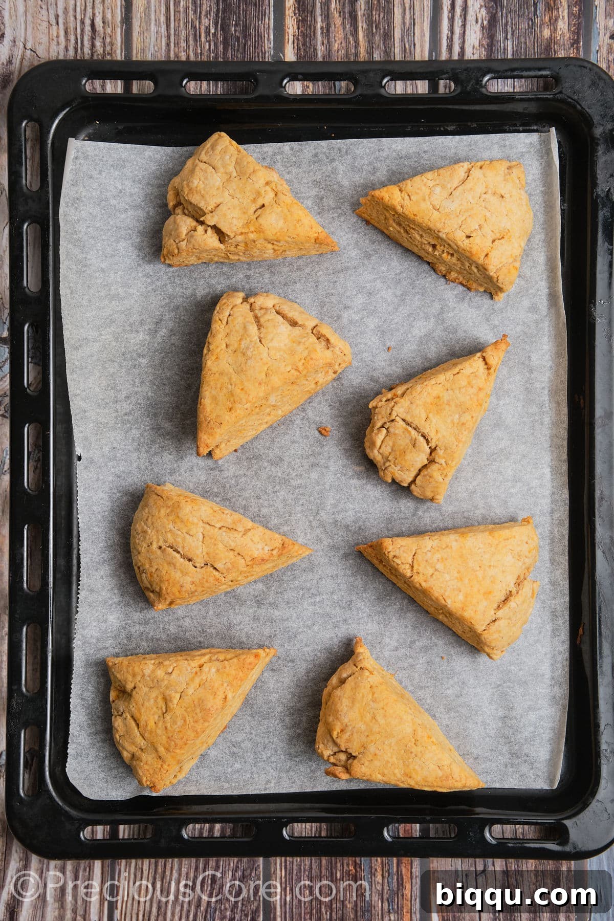 Baked sweet potato scones cooling on a baking sheet, golden brown and fluffy.