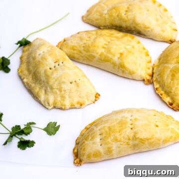 Cameroonian Fish Pies - Precious Core