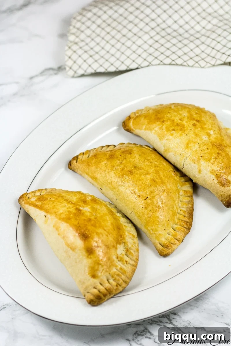 Close-up of a delicious, golden-brown meat pie.