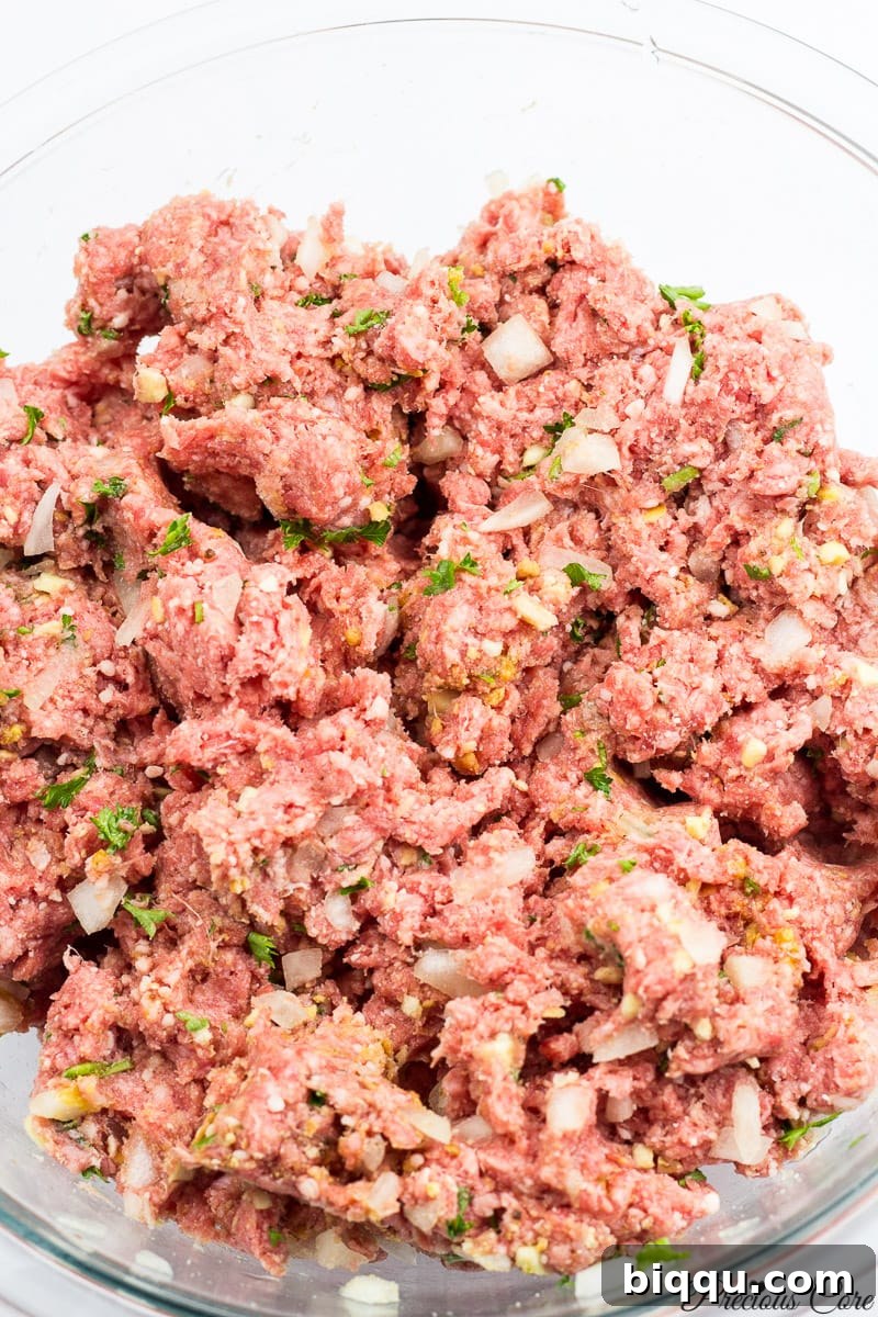 Well-mixed West African Meatballs mixture