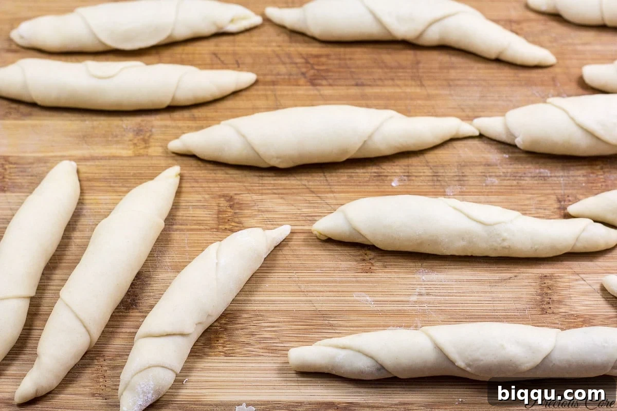 A batch of perfectly rolled Cameroonian fish rolls, neatly lined up and ready for deep frying