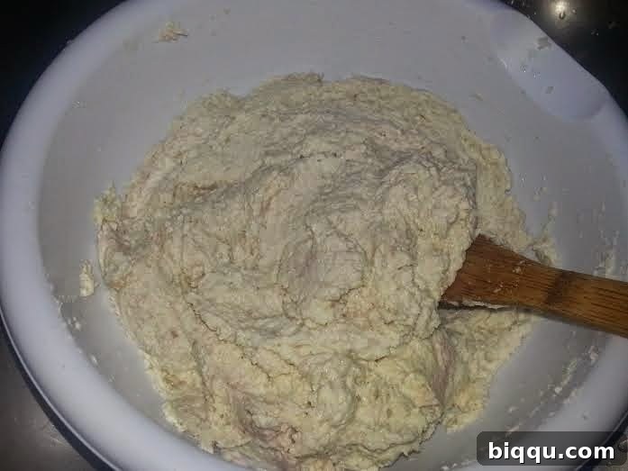 All dry ingredients mixed with grated cocoyams.