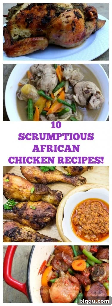 A curated collection of the best African chicken recipes, vibrant and diverse.