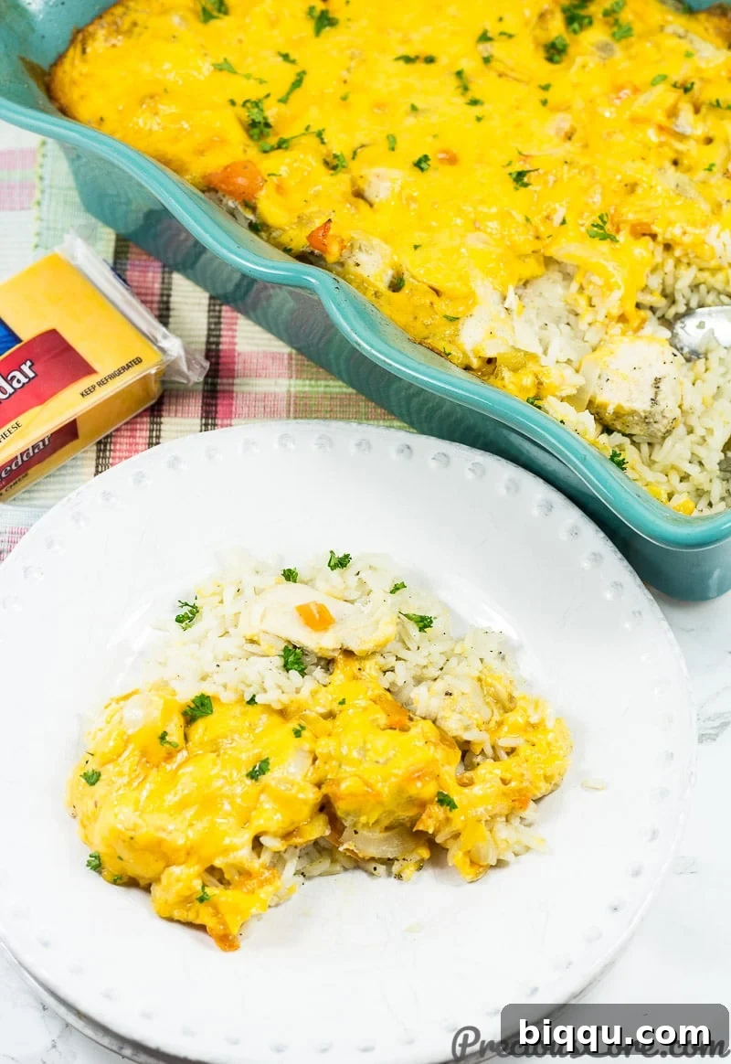 Baked chicken and rice casserole dinner, a wholesome and complete family meal