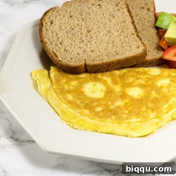 How to make an omelet with cheese. Easy cheese omelette recipe.