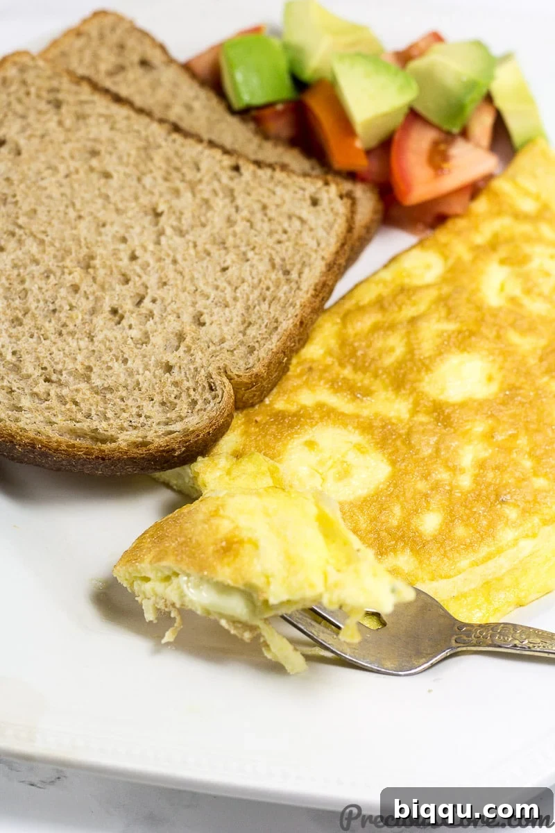 Cheese in omelette