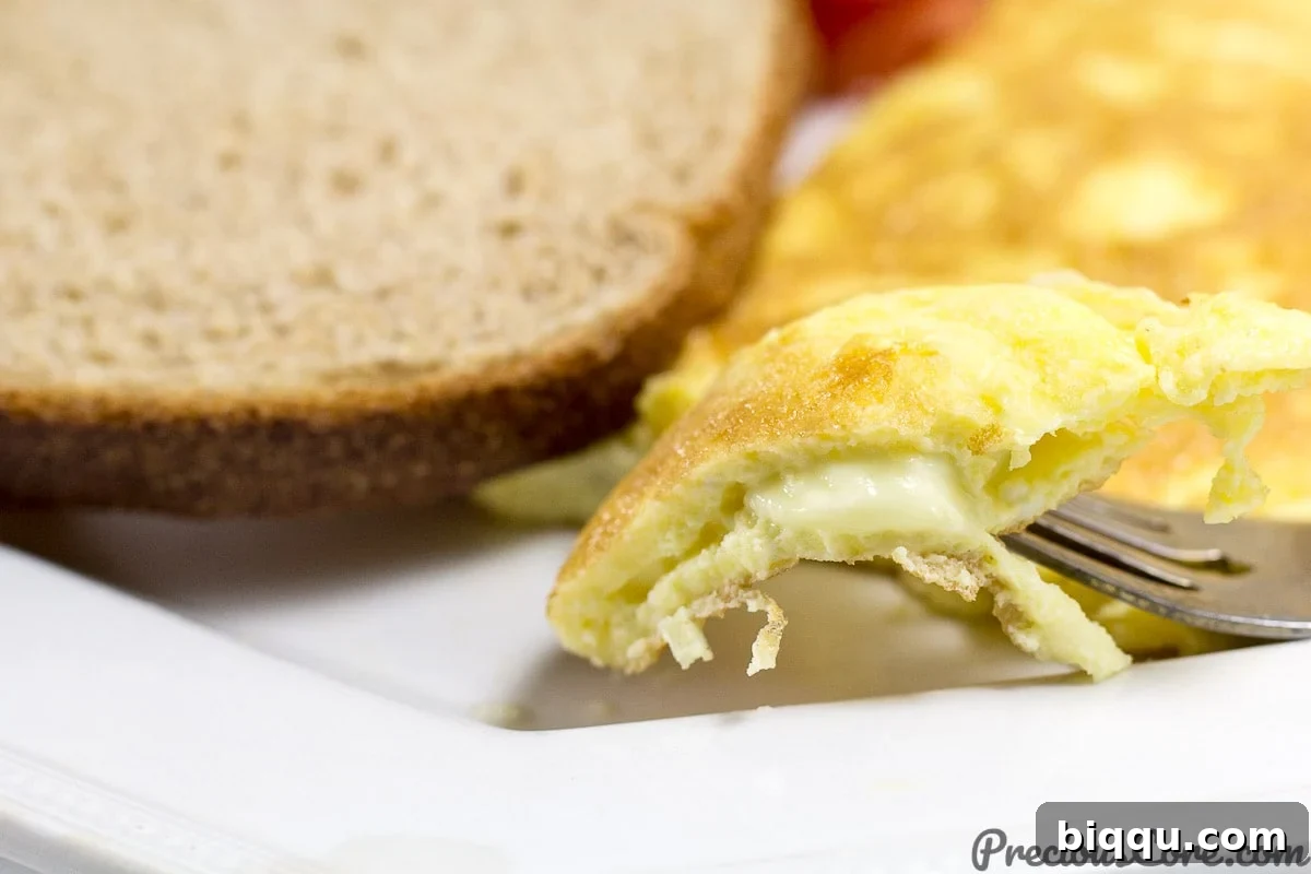 How to make an omelet with cheese