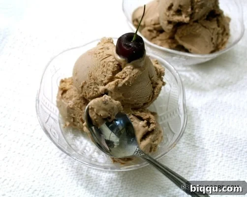 Close-up of scooped no-churn chocolate ice cream