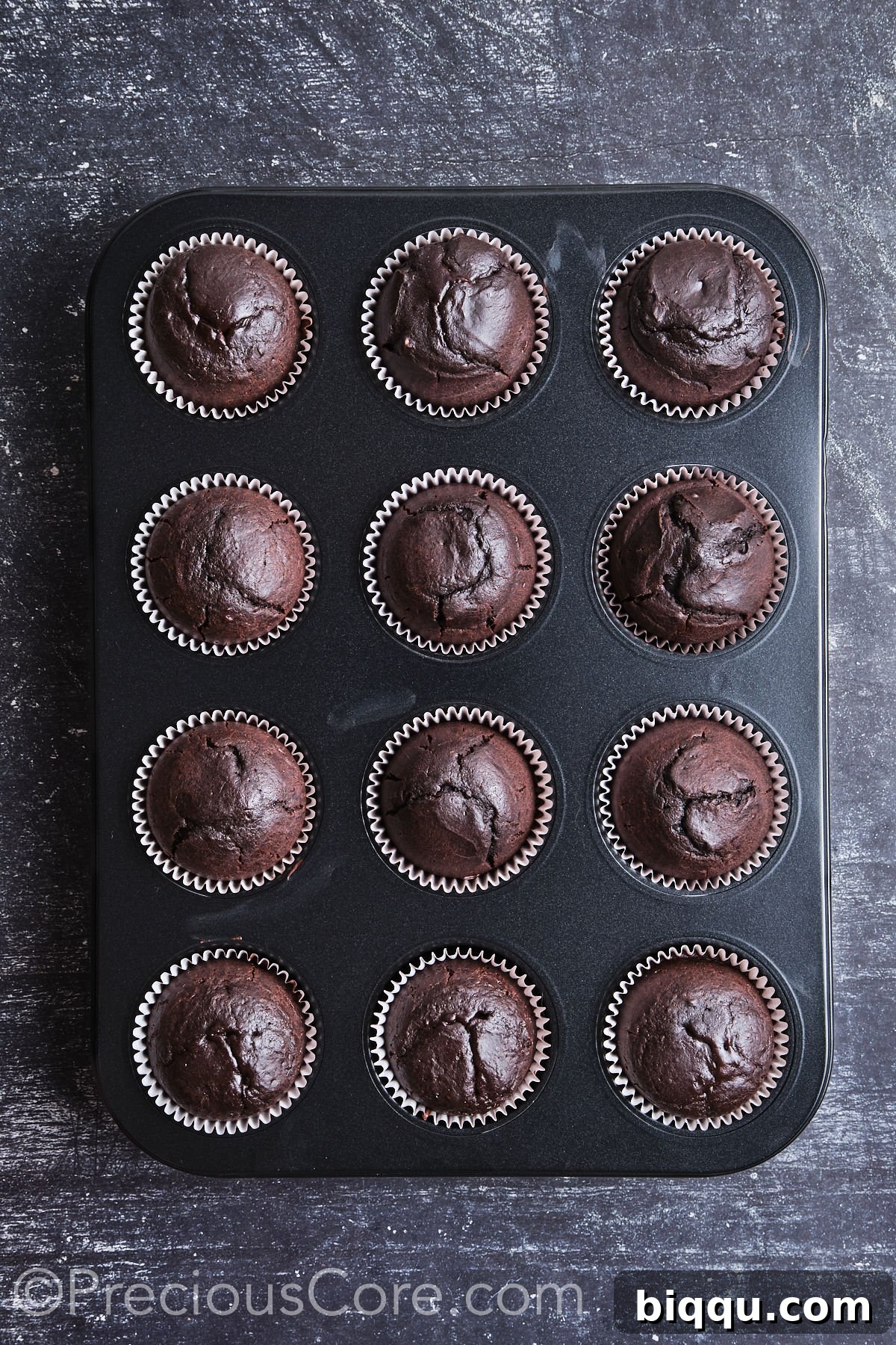 A tray of freshly baked chocolate cupcakes, golden and risen.