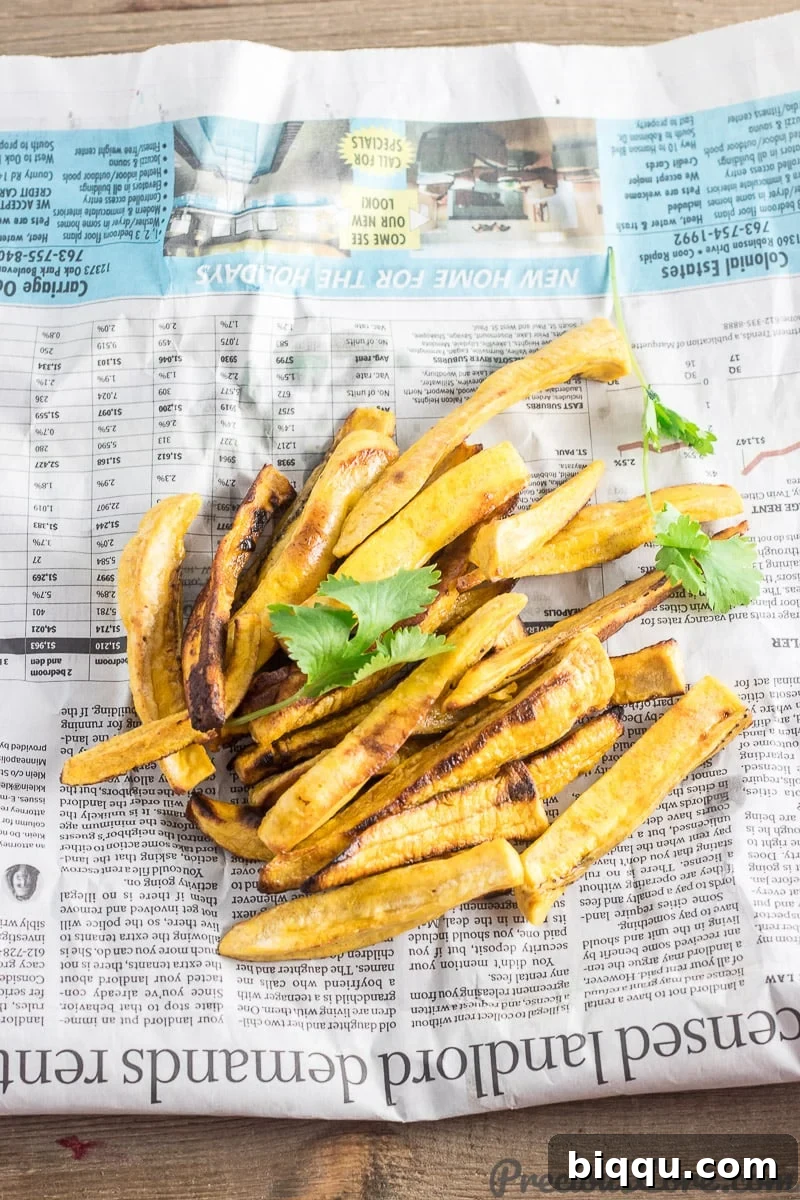 Freshly baked plantain fries garnished with vibrant green cilantro, arranged beautifully for a flavorful presentation.