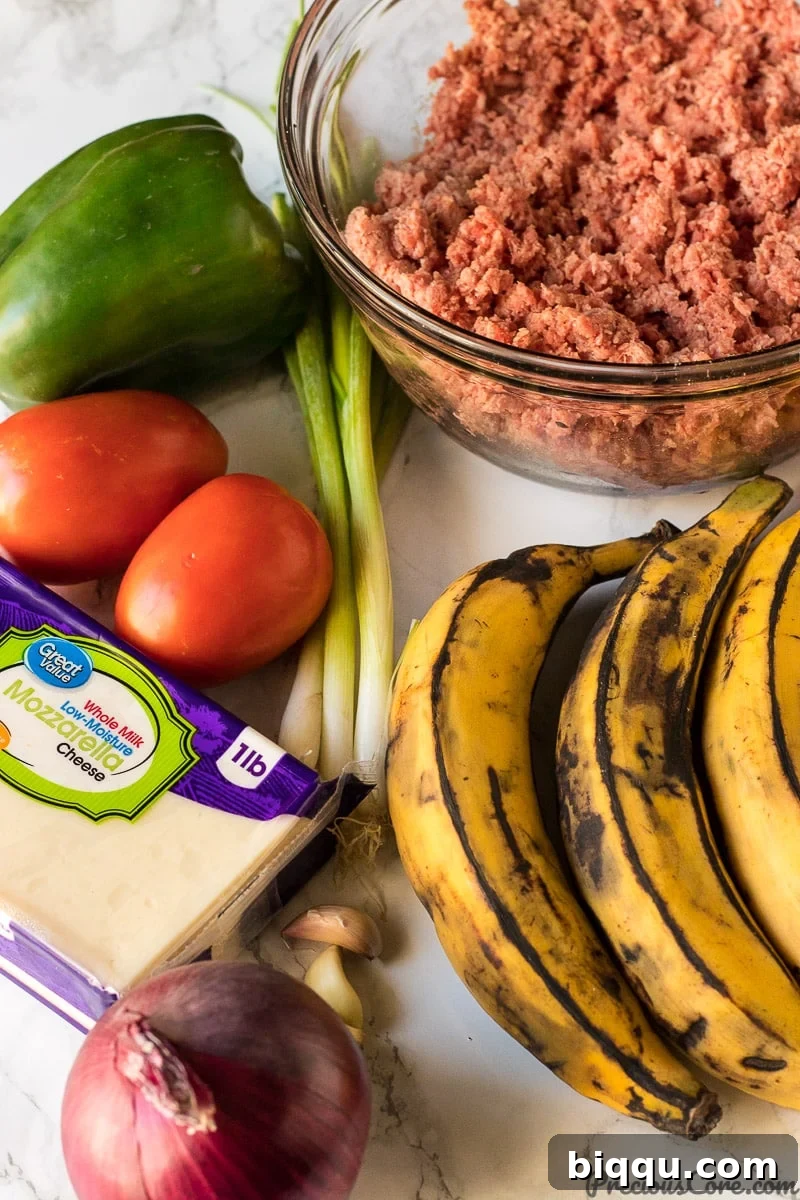 Plantain Lasagna best plantains to use and other ingredients.