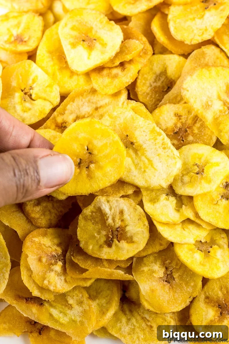 A close-up shot of freshly fried homemade plantain chips, showing their golden crisp texture.