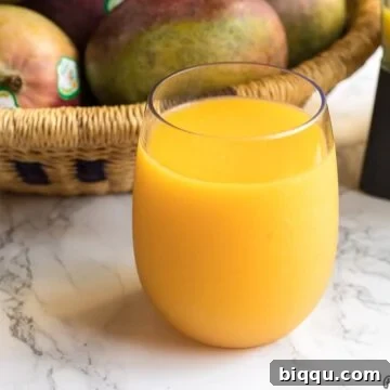 Homemade Mango Juice Recipe