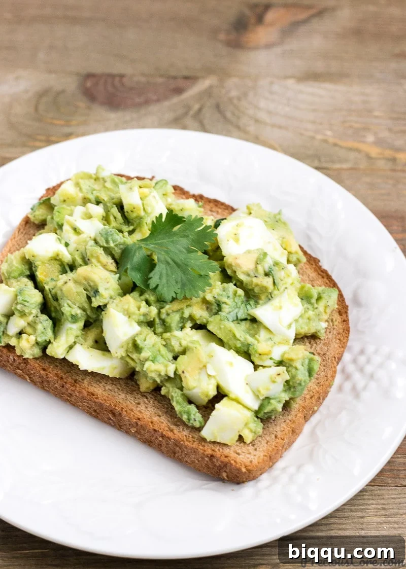 Avocado Egg Salad served on toasted whole wheat bread, garnished with fresh cilantro.