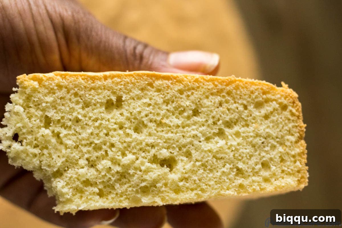 Fluffy Vanilla Sponge Cake 2 Person holding a slice of homemade vanilla sponge cake, showing its light and fluffy texture.