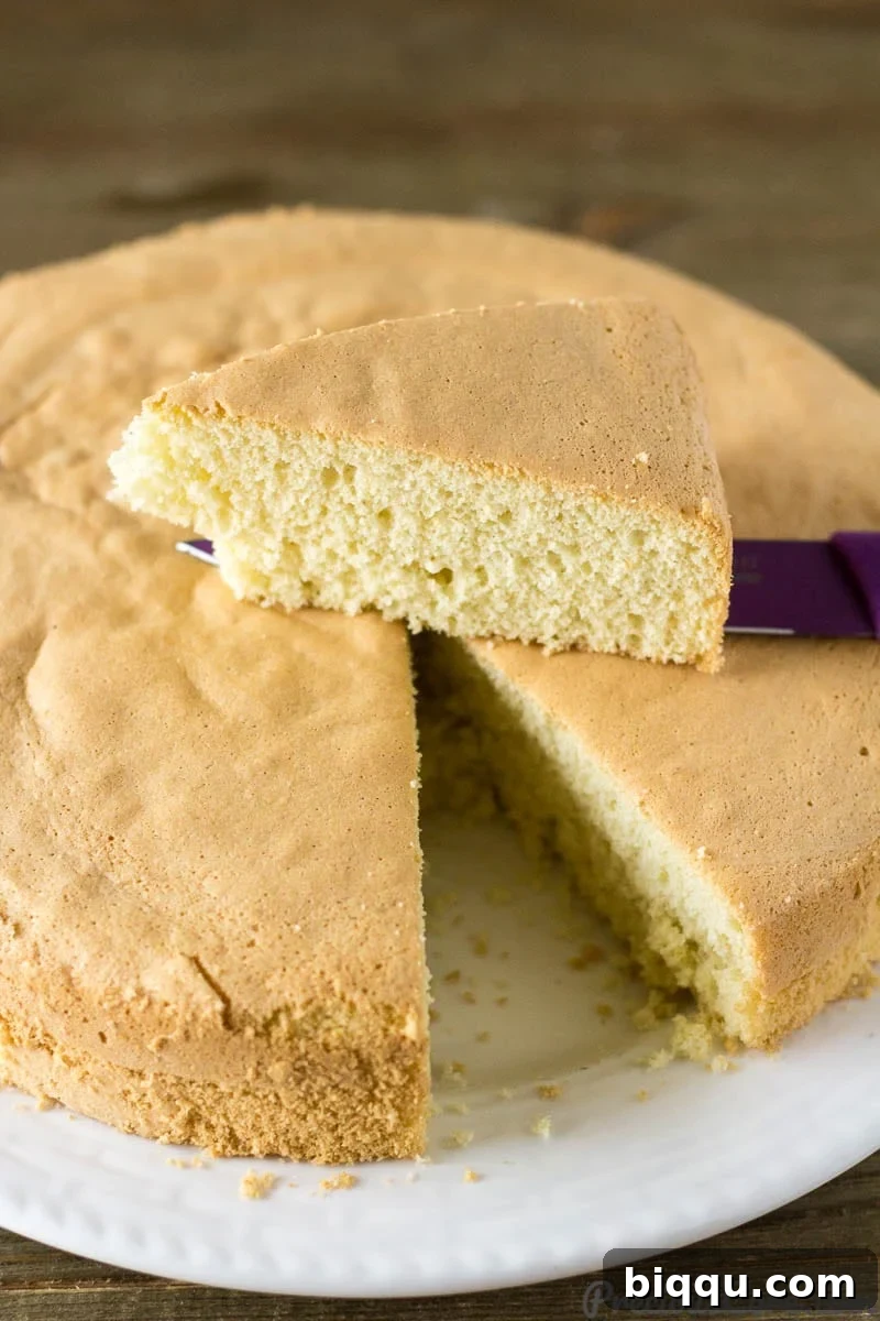 Fluffy Vanilla Sponge Cake 3 A whole vanilla sponge cake with a slice already removed and placed on a knife, highlighting its golden crust and soft interior.