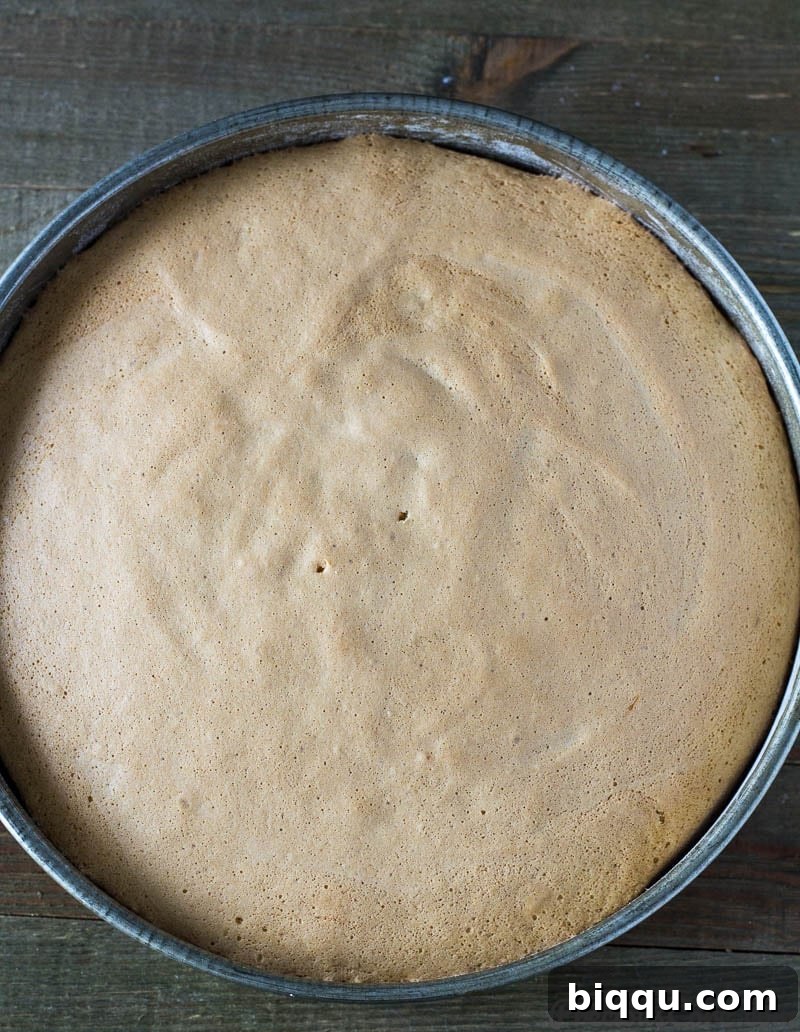 Fluffy Vanilla Sponge Cake 8 A baked vanilla sponge cake in its round cake pan, freshly out of the oven.