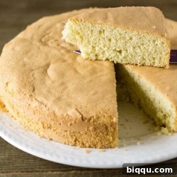 Perfect Vanilla Sponge Cake