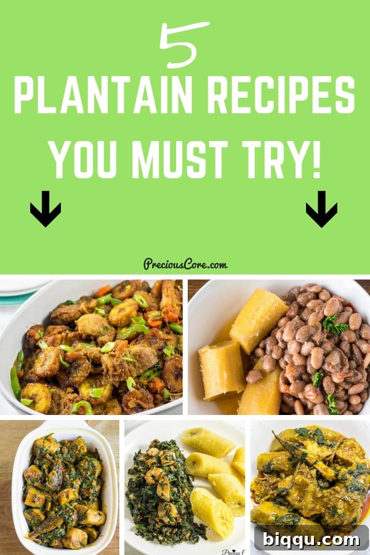 5 Plantain Recipes to try! #Plantain #PreciousCore