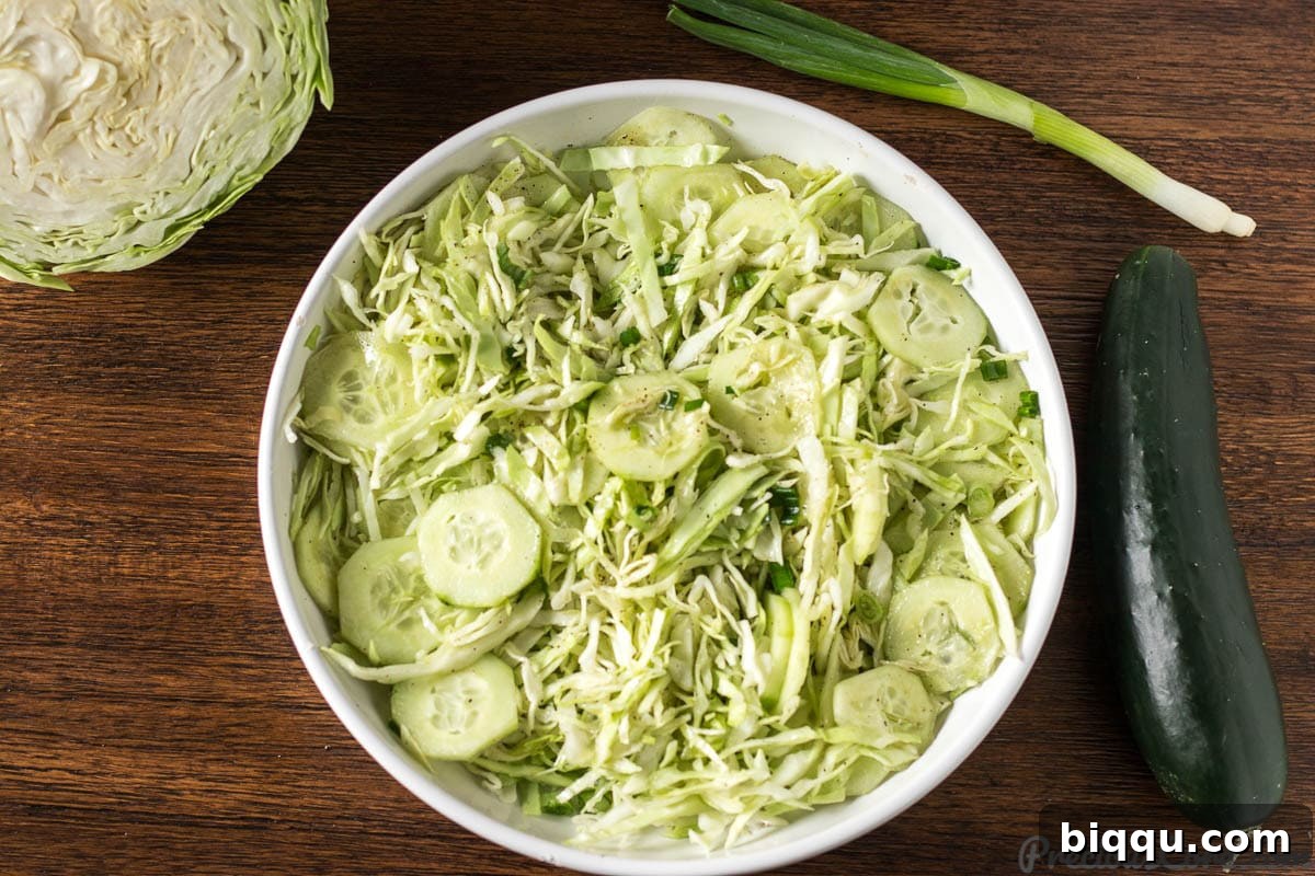 Zesty Cabbage Delight 4 3-ingredient cabbage salad, showcasing its simplicity and freshness.