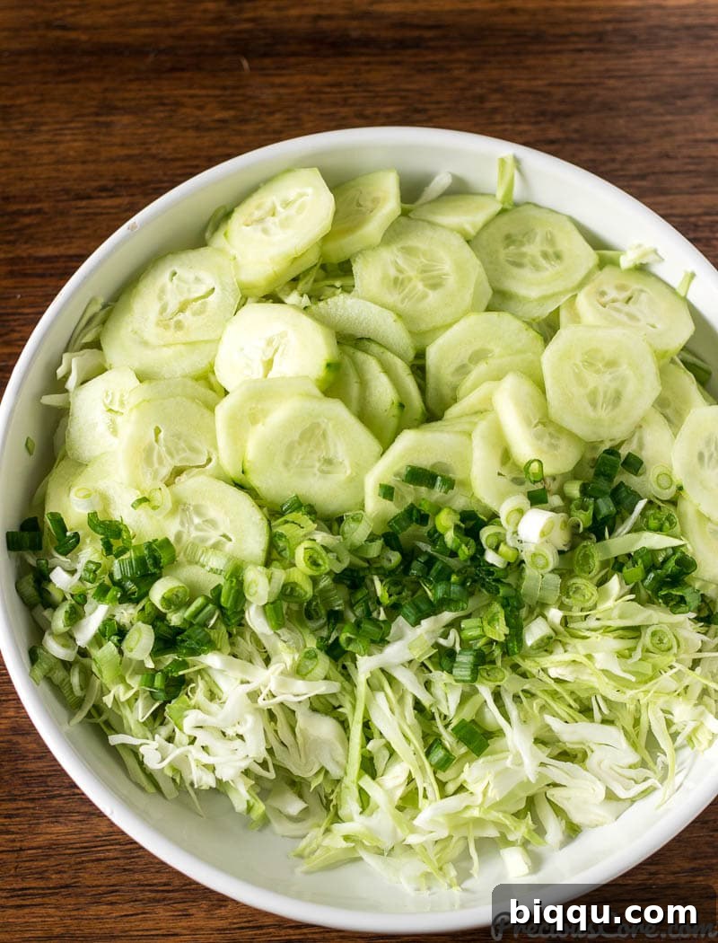 Zesty Cabbage Delight 6 Ingredients for Cabbage Salad, laid out and ready to be mixed.