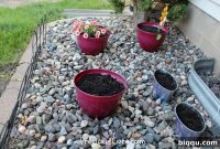 Guess What? I Planted a Garden!