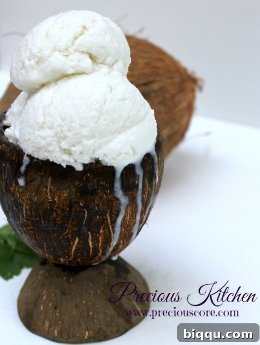 A close-up shot of the incredibly smooth and creamy texture of the homemade coconut ice cream.