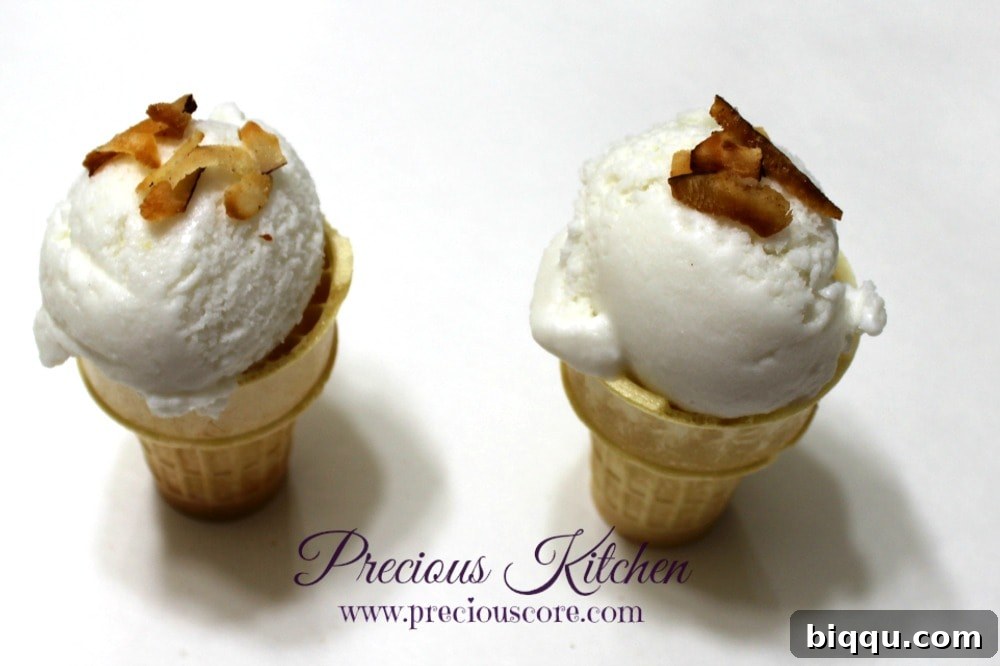 Coconut ice cream topped with golden toasted coconut flakes in a bowl, showcasing a delightful texture.