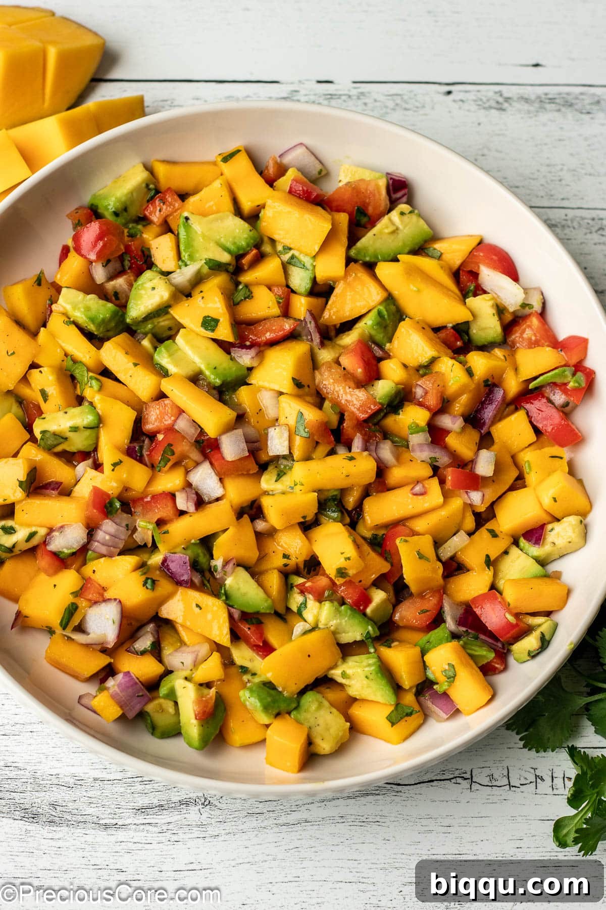 A beautifully presented bowl of freshly diced mango, creamy avocado, red onion, bell pepper, and cilantro, ready to be enjoyed.