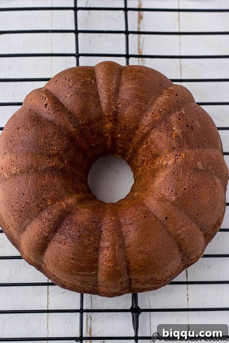 A delicious plantain cake, baked to perfection, showcased in a classic bundt pan.