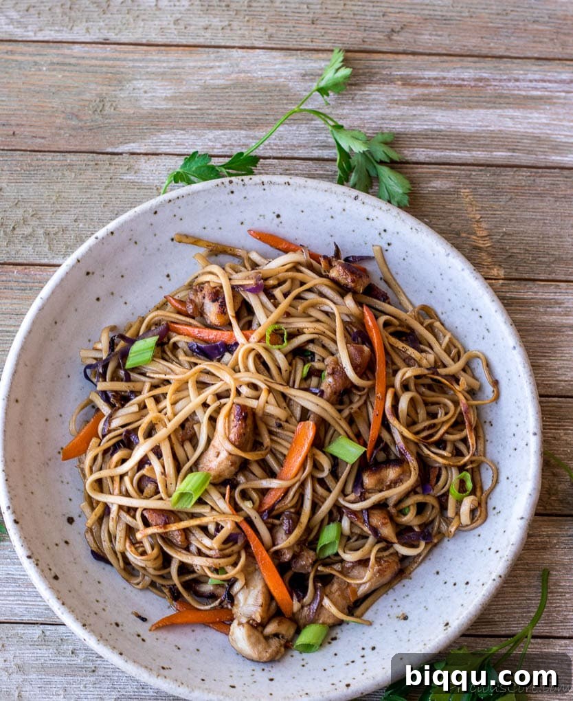 A vibrant and appetizing noodle stir fry served in a white bowl, ready to be enjoyed.