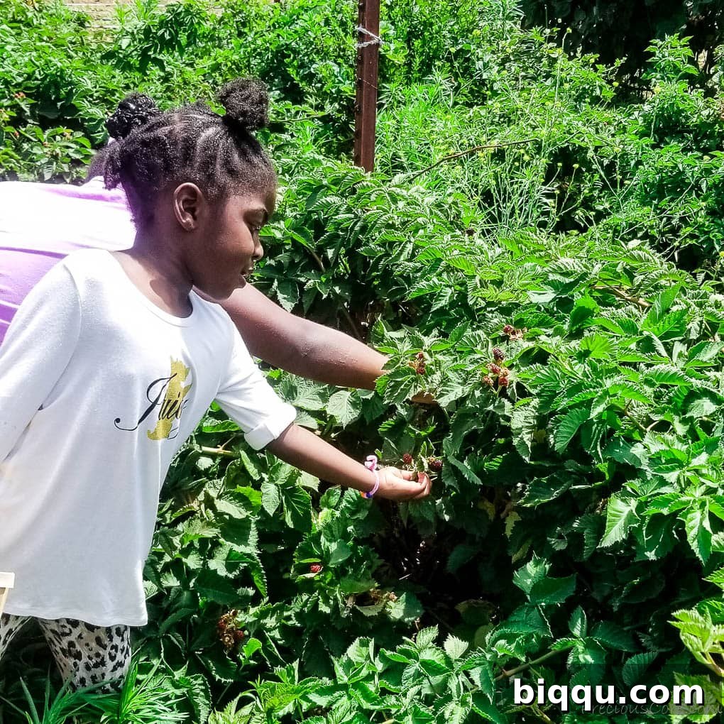 Children eagerly reaching into a lush berry bush, their hands a blur of excitement as they pick fresh berries.