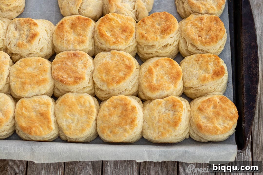 Landscape picture of freshly baked buttermilk biscuits on a cooling rack.