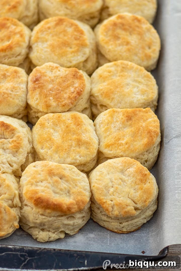 Golden-brown baked buttermilk biscuits cooling on parchment paper.