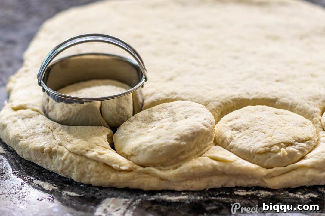 Biscuit rounds being carefully cut from the dough using a biscuit cutter.
